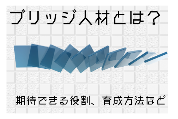 ブリッジ人材とは？役割・採用/育成の方法を紹介